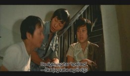 疯狂的笨贼在线观看,在线观看，笑料百出的盗宝奇遇记